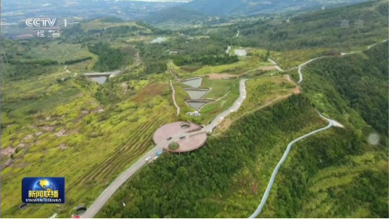 迎橄榄丰收 助乡村振兴 四川凯发K8聚峰谷油橄榄产业带动金堂公园城市绿色低碳发展