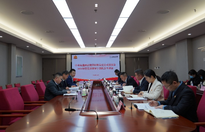 凯发K8集团党委书记、董事长任丁出席安逸酒店集团2022年度党员领导干部民主生活会