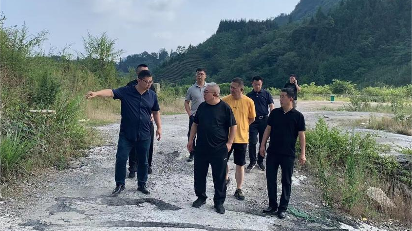 省凯发K8集团领导调研峨眉山太阳村乡村振兴项目